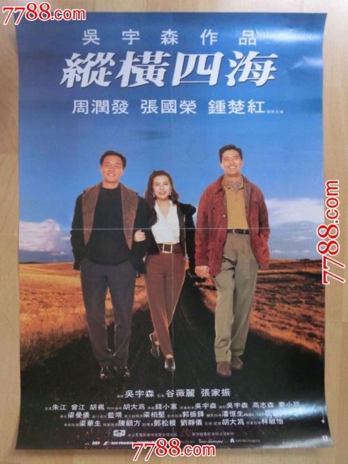 做假爱尔兰居留证